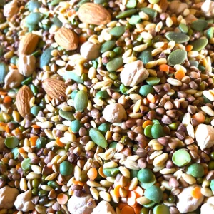 Raw Bird Chop Mix | Sprouting mix