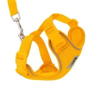 RC Pets Marigold Yellow Adventure Kitty Cat Harness