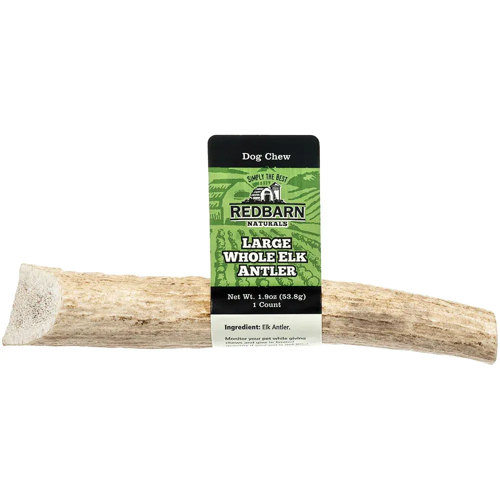 Red Barn Elk Antler Chew - Image 2