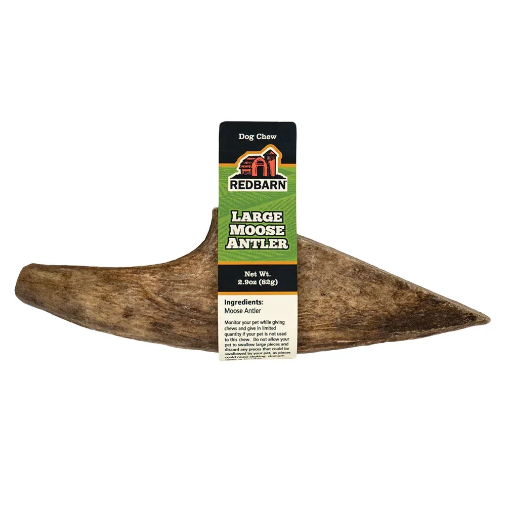 Red Barn Moose Antler - Image 2