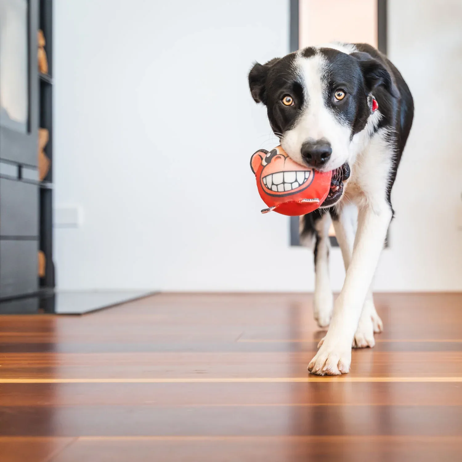Red Dingo Marley the Monkey Durables Ball - Image 2
