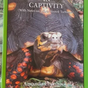 Red-Footed Tortoises in Captivity