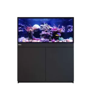Red Sea Reef