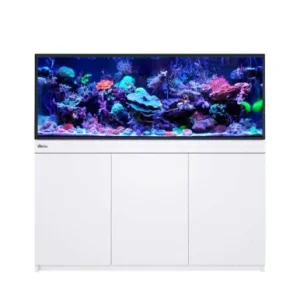 Red Sea Reef