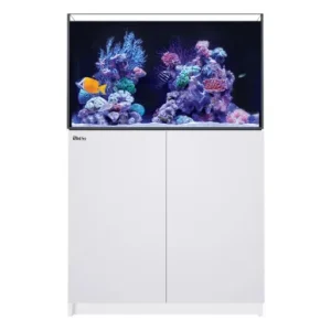 Red Sea REEFER 250 G3 White