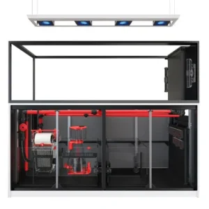 Red Sea REEFER MAX Peninsula S