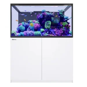 Red Sea REEFER S