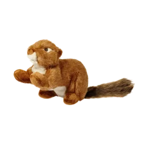 Red Squirrel