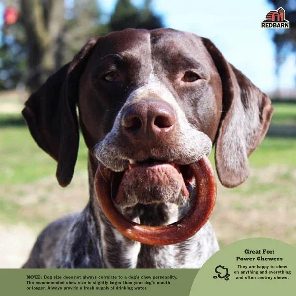 RedBarn Bully Rings - Image 2