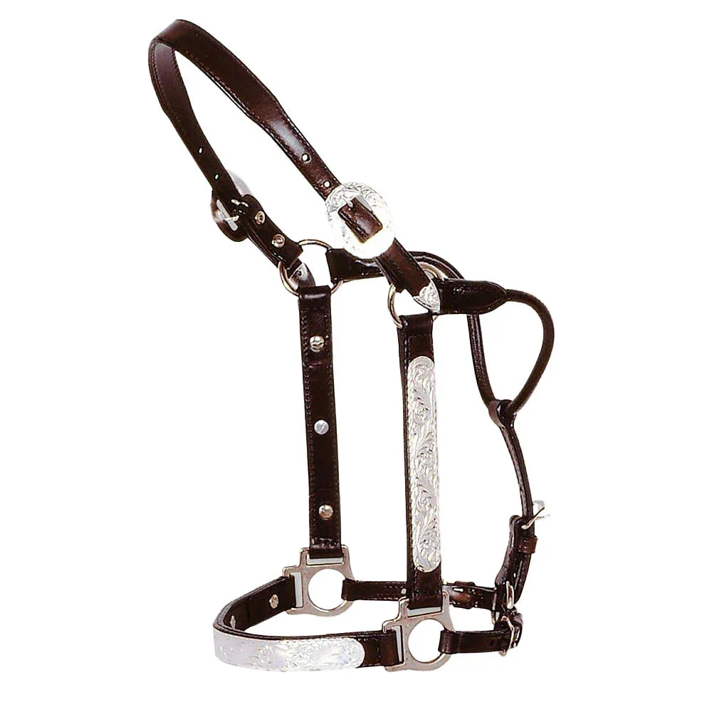 Reinsman Engraved Silver Show Halter