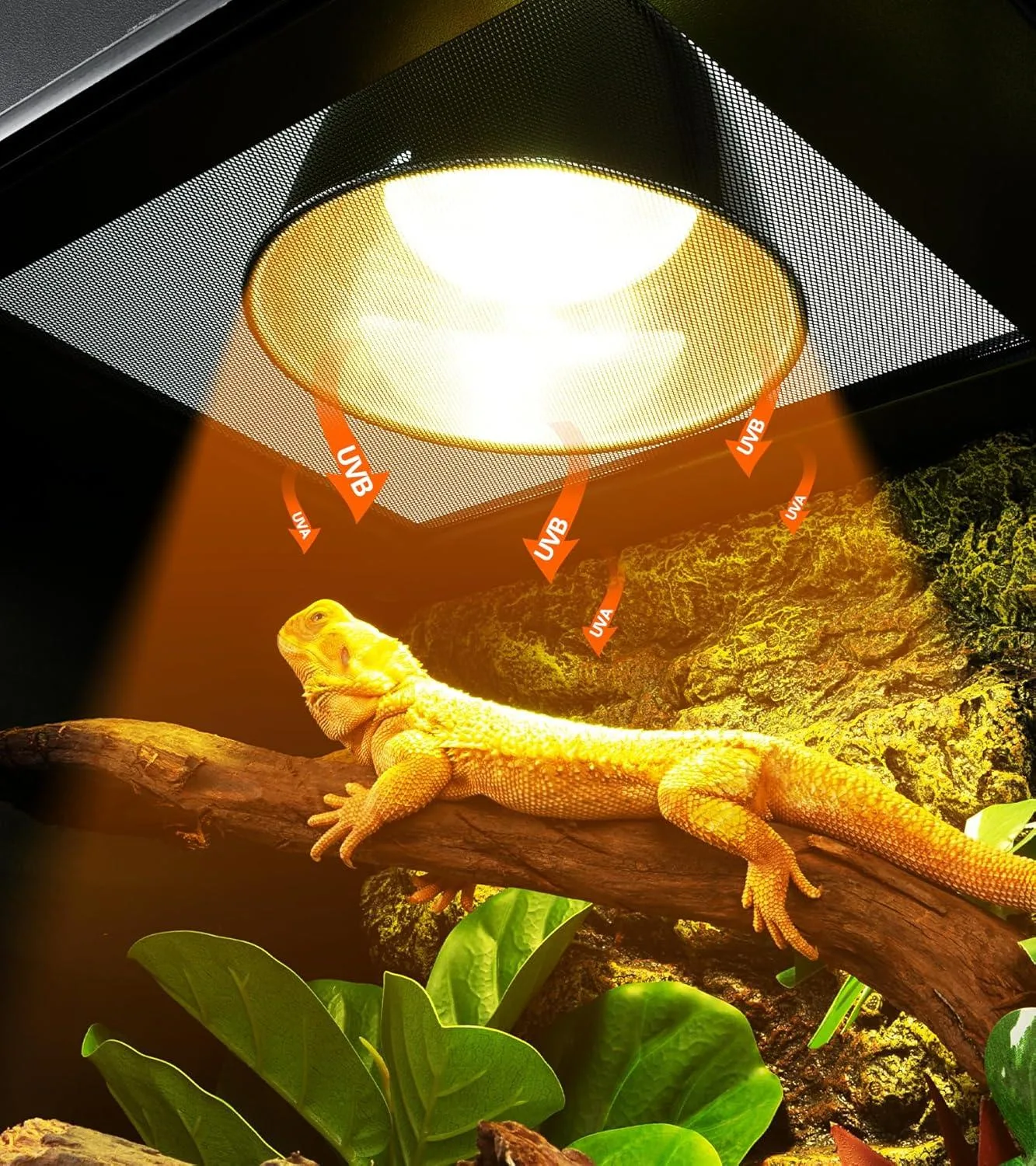 REPTI ZOO 8.5 Inch Lighting Combo Kit with 160W Reptile Heat Lamp UVA UVB Bulbs for Reptiles with Timer - Image 2