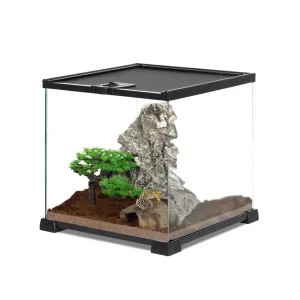 REPTI ZOO 8 Gallon 12" x 12" x 12" Mini Reptile Terrarium, Reptile Tank Leopard Gecko Habitat RAK10