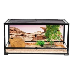 REPTI ZOO Glass Reptile Terrarium 50 Gallon, Front Opening Reptile Habitat Tank 36" x 18"x 18" for Reptile , Double Doors with Background RK361818A
