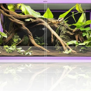 REPTI ZOO New Arrival Purple Reptile Glass Terrarium Aluminum Alloy Front Opening Tank for Bearded Dragon, Snake, Lizard, Gecko