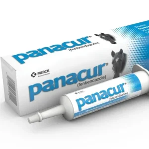 Reptile-Safe Panacur (Fenbendazole) Dewormer Paste, 25 gram 10%