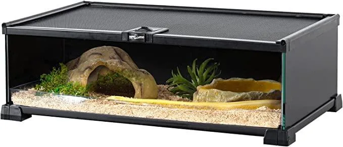 REPTIZOO 6 Gallon 20" x 12" x 6" Glass Reptile Terrarium with Top Feeding Reptile Habitat for Reptile Amphibians Snake Spider RAK08SG