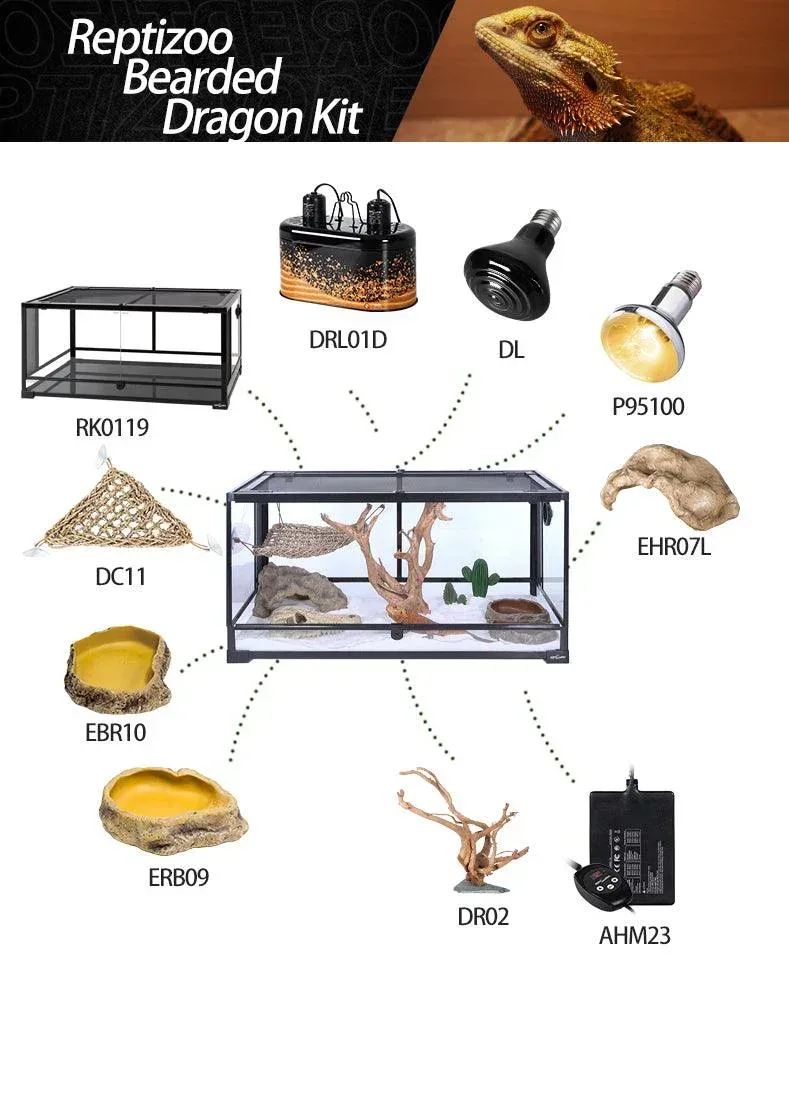REPTIZOO bearded dragon starter kit