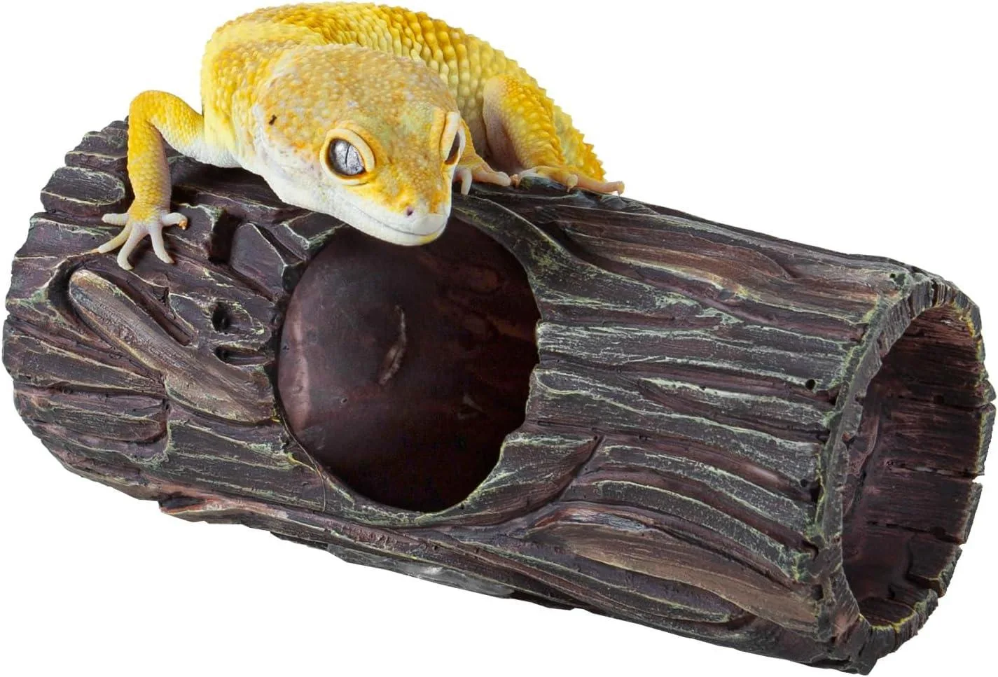 REPTIZOO Magnetic Reptile Hide Cave Resin Hollow Tree Trunk Hideout, Gecko Hide with Strong Magnetic Climbing Toy - Image 2