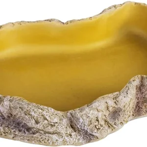 REPTIZOO Reptile Food Dish Terrarium Water Bowl Food Feeding Bowl for Reptile Amphibian Pets Medium