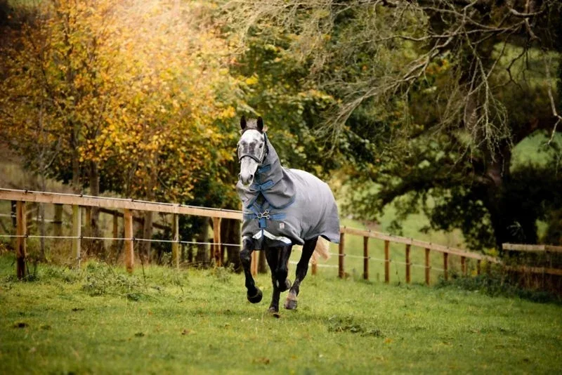 Rhino Plus HexStop VL Turnout 100g - Image 2