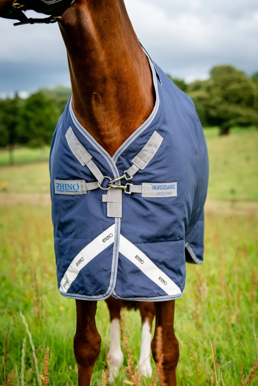 Rhino Plus Pony Turnout (250g Medium) - Image 2