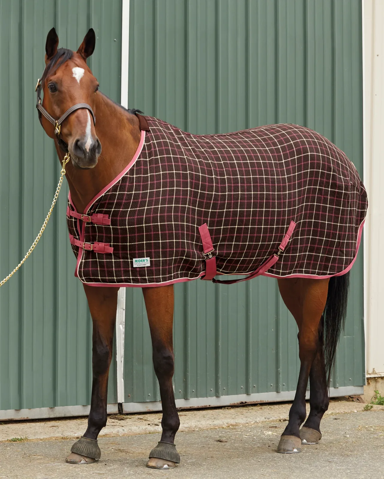 Rider’s International™ Chill Chaser
