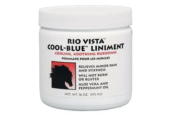 Rio Vista Horse Coolblue Linimnet 16Oz