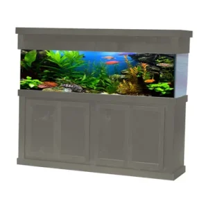 R&J 72"Lx24"W Modern Birch Rectangular Aquarium Stand @ Fish Tanks Direct