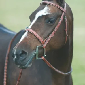 Rodrigo Pessoa Wide Noseband Show Bridle