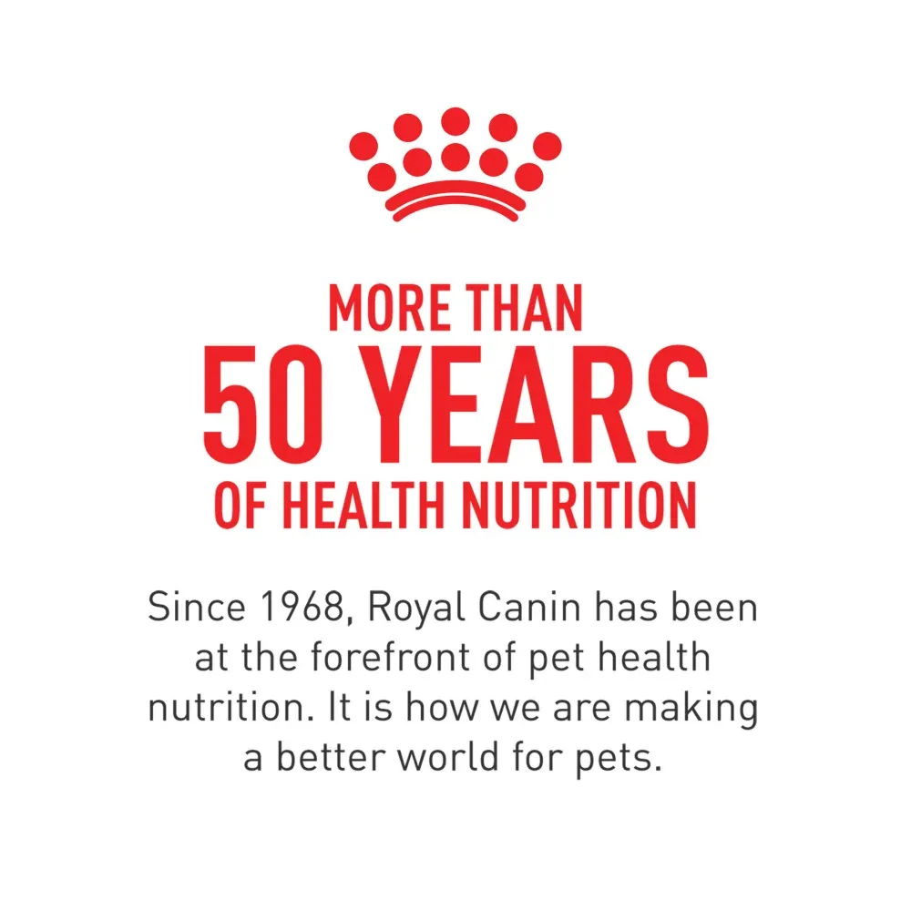 Royal Canin Feline Health Nutrition Digestive Care Dry Cat Food - Image 2