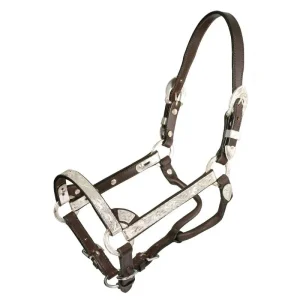 Royal King Deluxe Congress Show Halter