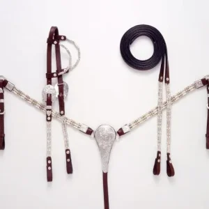 Royal King Ferruled Show Breastcollar