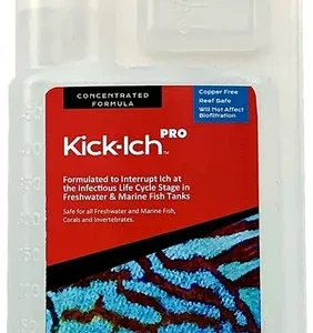 Ruby Reef Kick