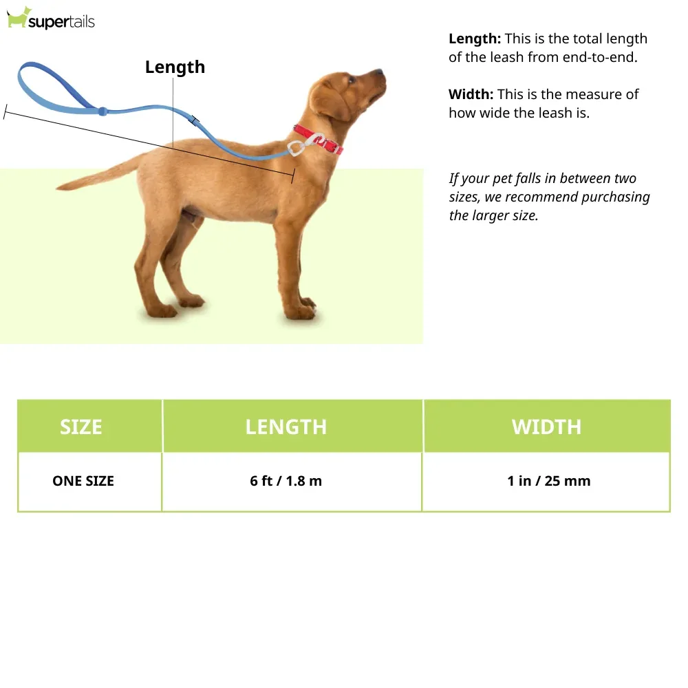 Ruffwear Flat Out Leash for Dogs (Alpenglow Burst) - Image 2