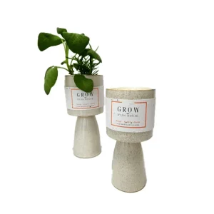 Ryan House Candles Terrazzo Signature Footed Amber Oud Candle