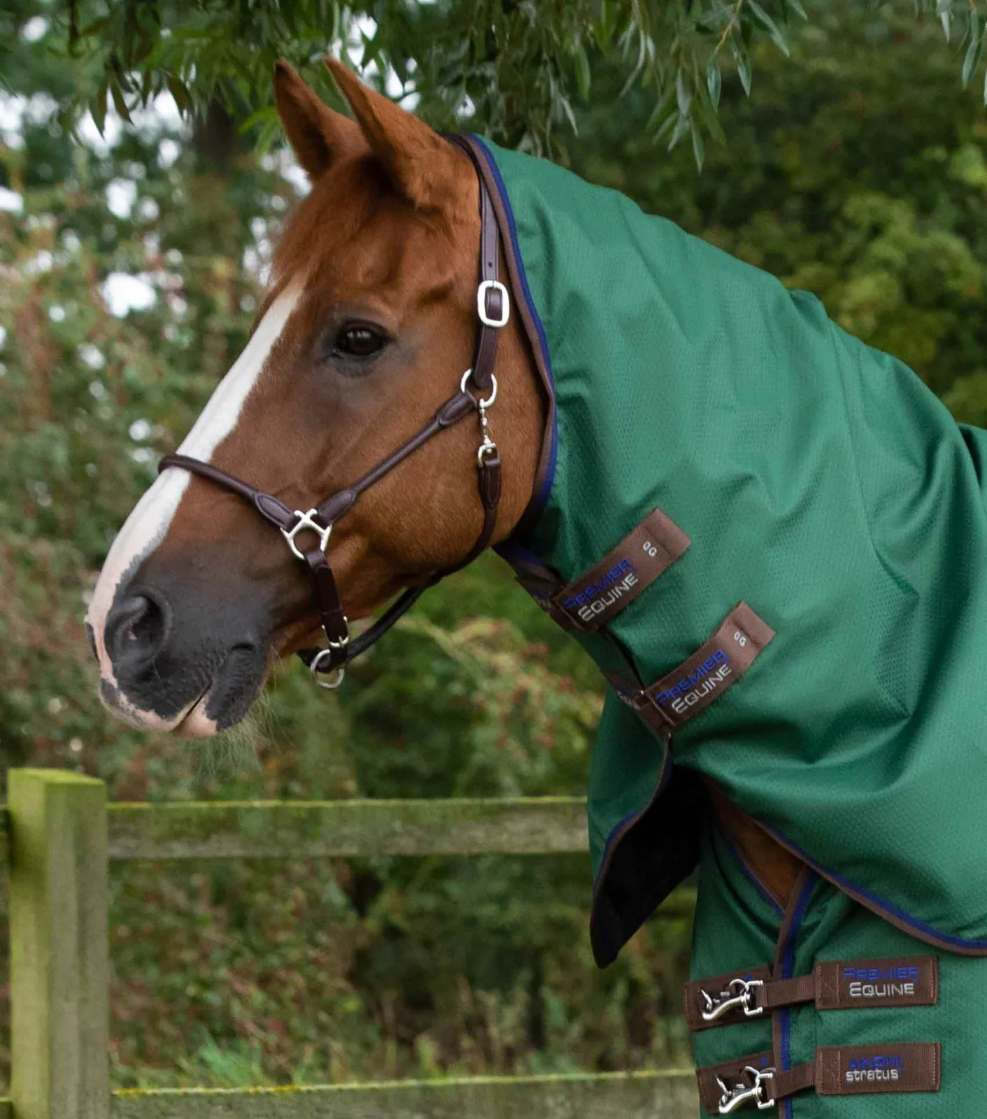 SALE (OLD BRANDING) - Akoni 0g Turnout Rug with Classic Neck Cover Green - Image 2