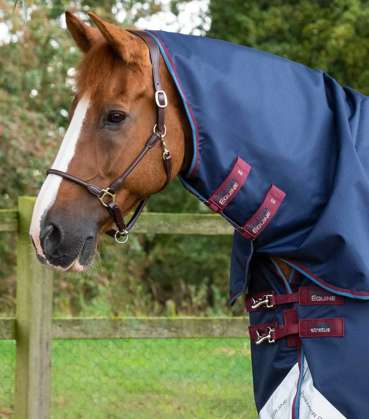 SALE (OLD BRANDING) - Akoni 0g Turnout Rug with Classic Neck Cover Navy - Image 2