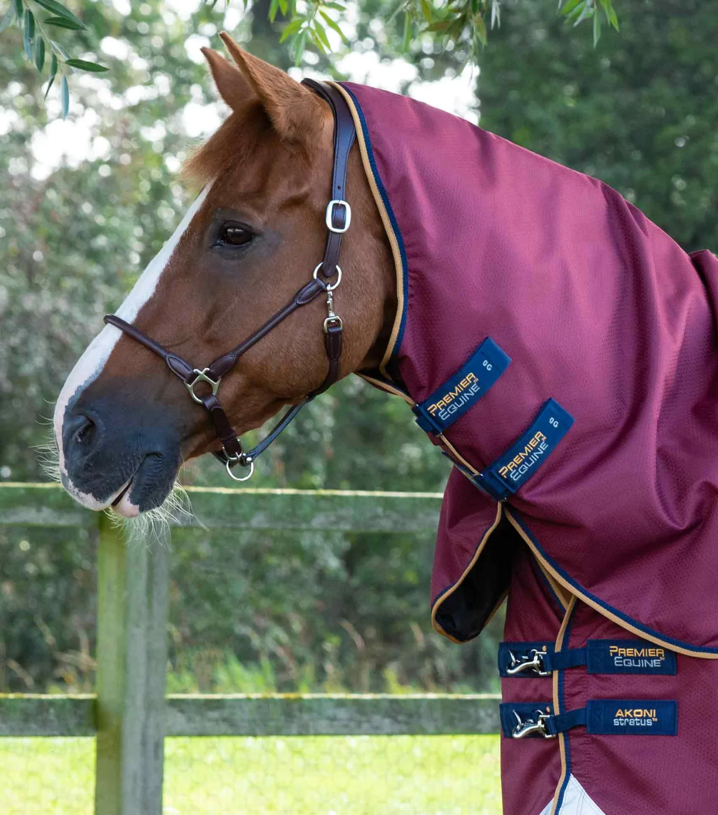 SALE (OLD BRANDING) - Akoni 0g Turnout Rug with Classic Neck Cover Wine - Image 2