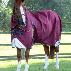 SALE (OLD BRANDING) - Akoni 0g Turnout Rug with Classic Neck Cover Wine