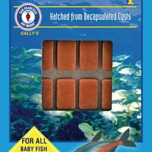 San Francisco Baby Brine Shrimp Frozen Fish Food 1.75 oz SD-5