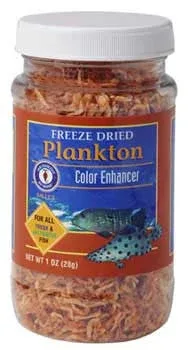 San Francisco Freeze Dried Plankton 28gm {L+1} 009019