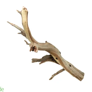 Sandblasted Ghostwood Manzanita Branch for Bioactive Terrariums