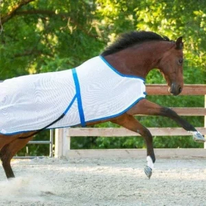 Saratoga Horseworks Summer Turnout 68 White/Black
