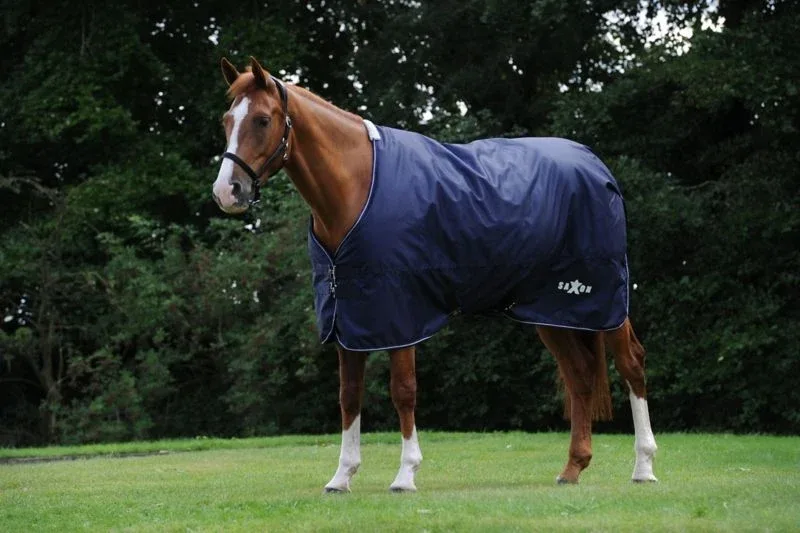 Saxon Defiant 600D Lite Sheet - Image 2