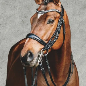 Schockemöhle Equitus Gamma Double Bridle
