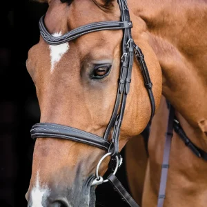 Schockemöhle Monza Fancy Stitched Bridle