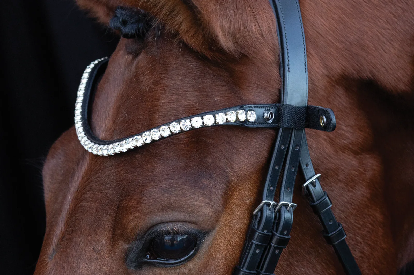 Schockemöhle Siena Browband