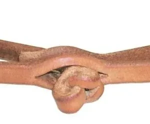 Schutz By Professionals Center Knot Curb Strap Her