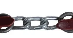 Schutz By Professionals Choice 3 Link Curb Strap B