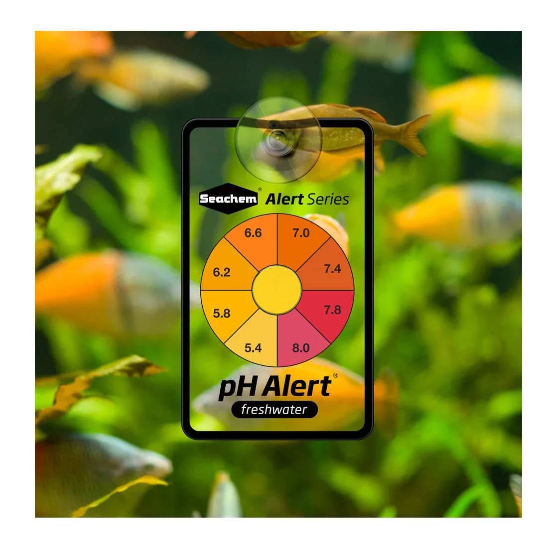 Seachem Alerts Combo Pack - Image 2